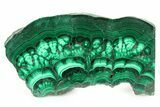 Polished Malachite Slab - DR Congo #266801-1